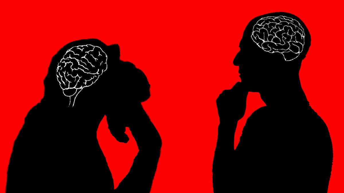 [BBC] Animal brains vs. human brains - let the Battle of the Brains commence!