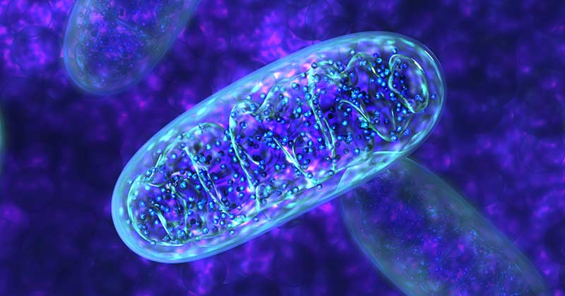 Mitochondrial dysfunction